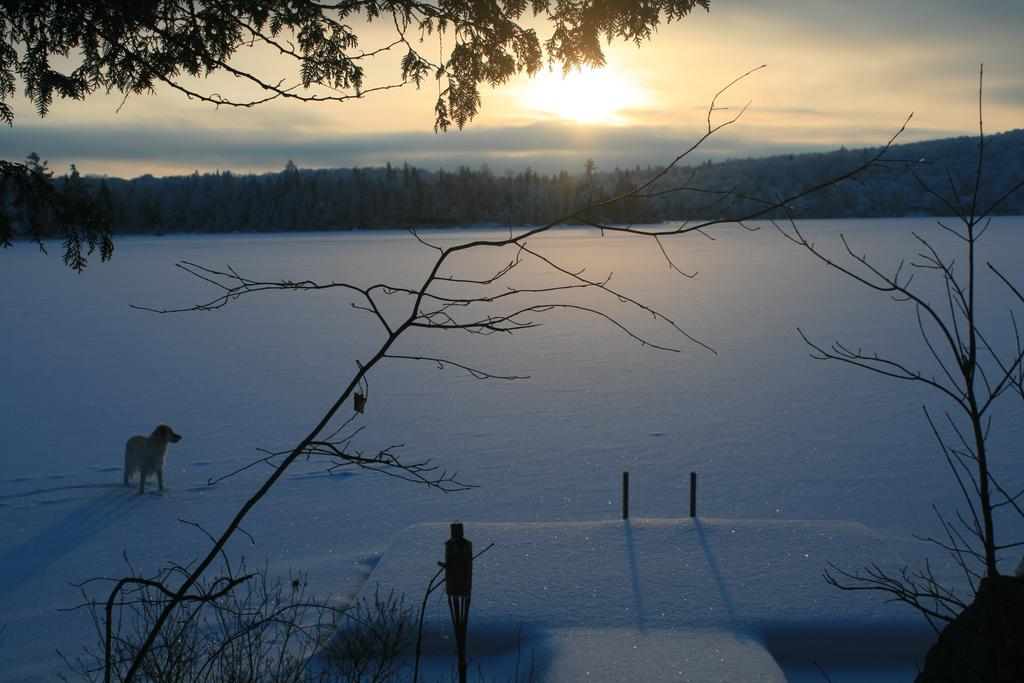 Gite Nature Et Confiture เอสเตเรล ภายนอก รูปภาพ